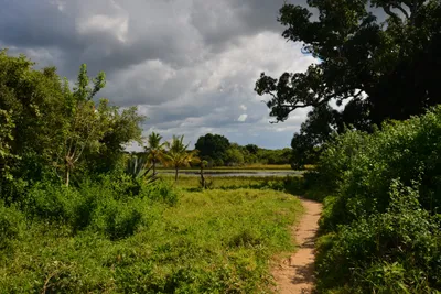 DSC_4840 (Large).JPG